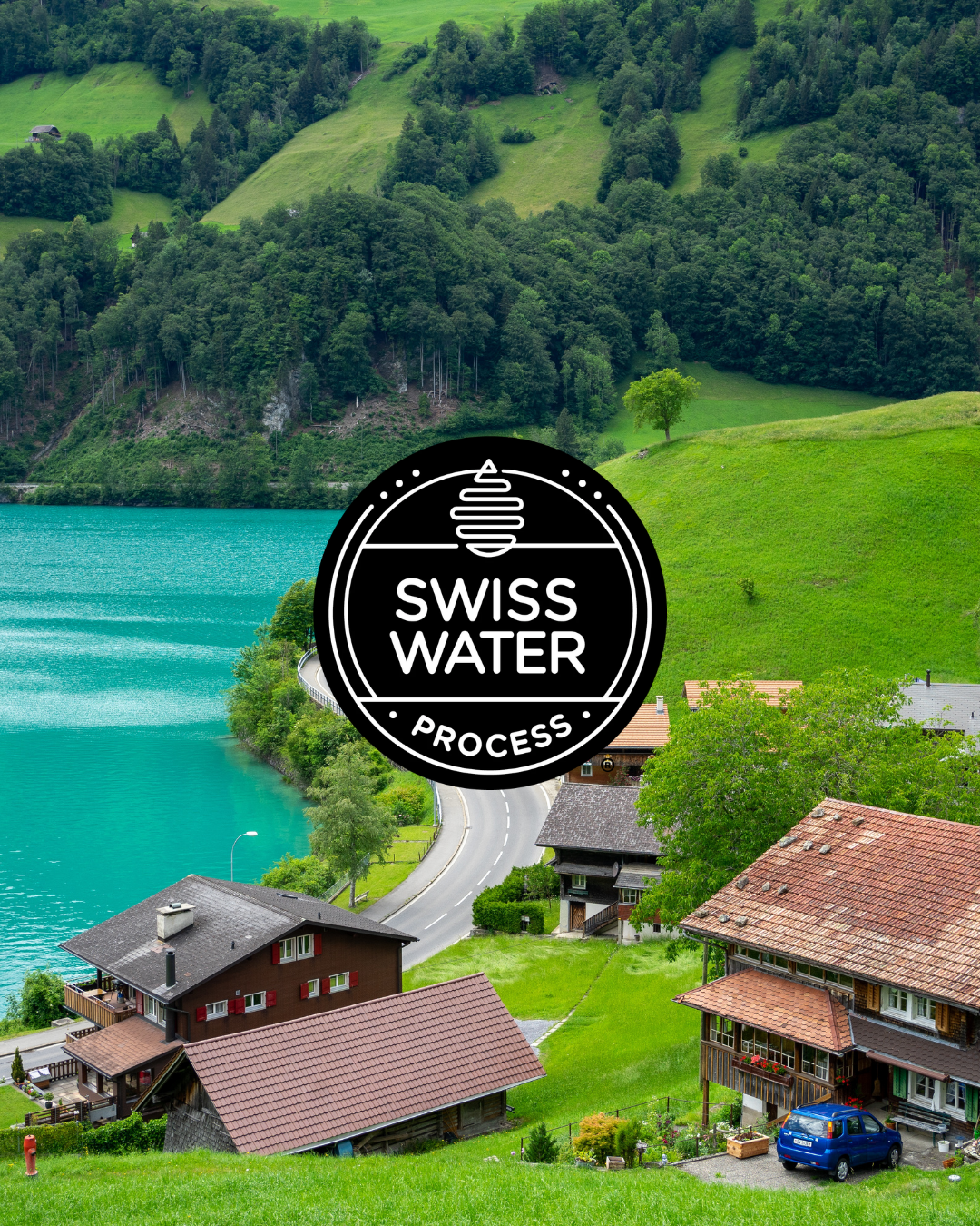 Decaf Brazil - Swiss-Water Decaf - Image 2